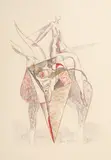 Dan Erceanu, Zodia Taur, 1997, ceracolor și accente de cărbune pe hârtie