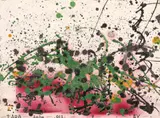 Sorin Tara, Pollock (IV)