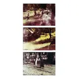 Ion Grigorescu, Viața la sat, C-print