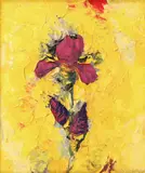 Mihai Sârbulescu, Iris pe fond galben