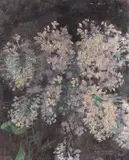 Aurel Bordenache, Buchet de liliac, 1935, ulei pe lemn