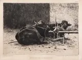 Theodor Aman, Buffles de la Roumanie, acvaforte și gravură cu acul