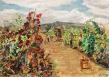 Dimitrie Berea, Culesul viei