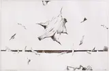 Florin Niculiu, Țărm infinit