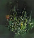 Istvan (Ștefan) Kancsura, Flori nocturne, ulei pe pânză