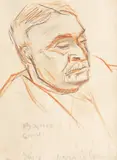 Theodor Pallady, Colecționarul Lazăr Munteanu, creion și creioane colorate pe hârtie
