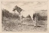 Theodor Aman, Cal alb, 1879, acvaforte și gravură cu acul
