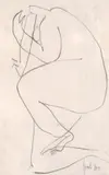 George Apostu, Nud