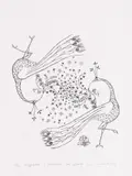 Grădina cu păuni by Ștefan Câlția, 2022, serigrafie, sold Nov 2022