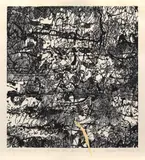 Engramme II by Suzana Fantanariu, 1991, xilogravură, offered Nov 2022