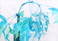 Mircia Dumitrescu, Vlăstar înflorit, 1992, acuarelă și creion pe carton
