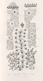 Ștefan Câlția, Plante (I)