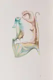 Jules Perahim, Ghimel, creioane colorate pe hârtie