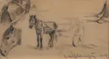 Rudolf Schweitzer–Cumpăna, Studiu de cai