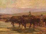 Jean Neylies, Întoarcerea bivolillor