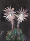 Milița Petrașcu, Flori de cactus, pastel