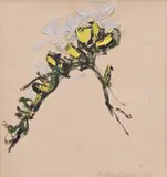 Mihai Sârbulescu, Orhidee