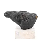 Marian Zidaru, Licorn, bronz