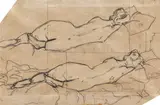 Nicolae Tonitza, Nud cu spatele, creion pe hârtie