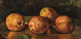 Portocale by Octav Băncilă, ulei pe pânză, sold Mar 2022
