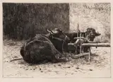 Theodor Aman, Buffles de la Roumanie, acvaforte și gravură cu acul