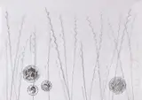 Mircea Cantor, Coins, 2015, creion și cărbune pe hârtie
