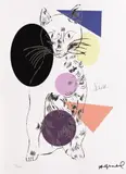 Andy Warhol, Sam, cromolitografie