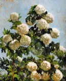 Simion Zaharia, Boule-de-neige, ulei pe carton
