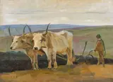 Stoica Dumitrescu, Plugul cu boi