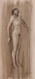 Corneliu Baba, Studiu de nud, tuș, laviu și creion pe hârtie