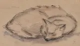 Theodor Pallady, Dormind în soare, creion, tuș și laviu pe hârtie