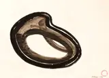 Paul Neagu, Reversible Hyphen