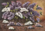 Cornel Raţiu, Liliac