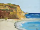 Nicolae Blei, Vama Veche