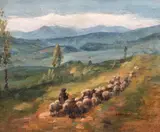 Ion Marinescu Vâlsan, Ciobănaș