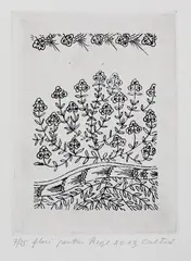 Ștefan Câlția, Flori pentru rege, 2013, acvatintă