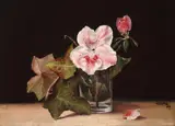 Mişu Teişanu, Floare de măceș
