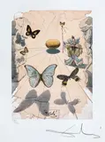 Salvador Dalí, Fluturi