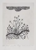 Ștefan Câlția, Flori de câmp, 2013, acvatintă