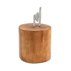 Constantin Brancusi, Avion, plumb