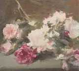 Corneliu Brudașcu, Trandafiri