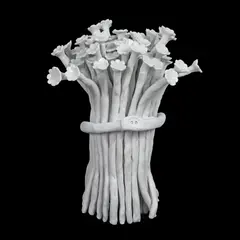 Daniela Fainis, Buchet de flori, 2021, porțelan de Limoges, modelat manual, parțial glazurat cu glazură transparentă; temperatură de ardere 1260°C