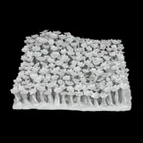 Daniela Fainis, Răsad (XX), 2014, porțelan de Limoges modelat manual, parțial glazurat cu glazură transparentă, temperatură de ardere 1280°C