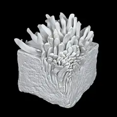 Daniela Fainis, Mister V, 2019, porțelan de Limoges modelat manual, temperatura de ardere 1260°C