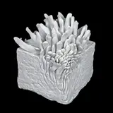 Daniela Fainis, Mister V, 2019, porțelan de Limoges modelat manual, temperatura de ardere 1260°C