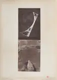 Eugen Popa, Abstraction Bormann, 1969, linogravură