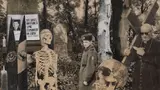 Ion Bîrlădeanu, Să urce națiunea spre comunism, în zbor (Nicolae Ceaușescu)