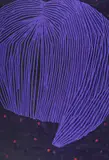 Florica Prevenda, Anonymous, 2017 -2018, acrilic, colaj și relief texturat pe pânză