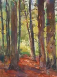 Rudolf Schweitzer–Cumpăna, Interior de pădure