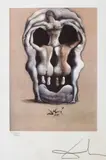 Salvador Dalí, Craniu